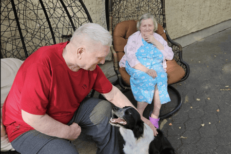 A group of elderly people sitting on benches and in wheelchairs outside, enjoying ice cream. They are in a grassy area with trees and a building in the background. It's a sunny day and everyone appears to be relaxed and smiling.
