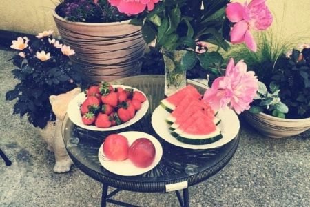 Valakampių socialinių paslaugų namai