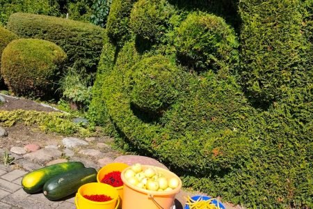 Žemaičių Kalvarijos Caritas Skyriaus Globos Namai