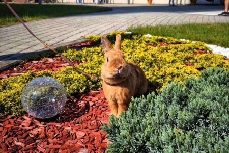 Šiaulių miesto savivaldybės globos namai