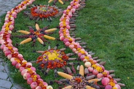 Vilkaviškio rajono savivaldybės Gudkaimio globos namai