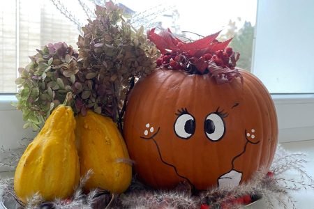 Viešoji įstaiga „Elijos vėjarožė“