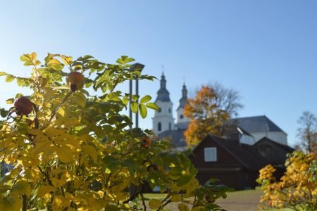 Žemaičių Kalvarijos Caritas Skyriaus Globos Namai