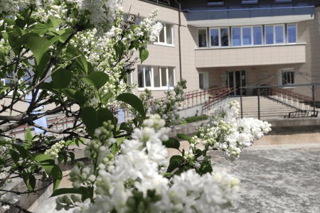 White lilac flowers in the foreground with a modern beige building in the background. The building has large windows and a multi-level design under a clear blue sky. The scene conveys a sense of springtime.