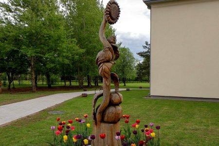 Dotnuvos slaugos namai