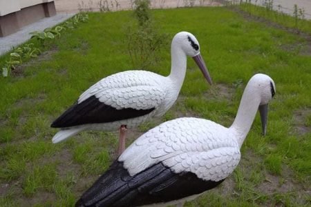 Adutiškio senelių namai