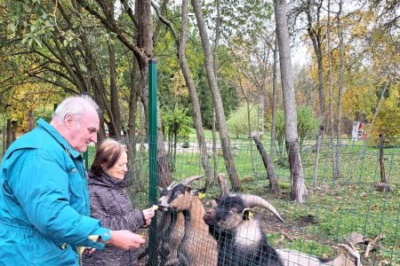 Mielagėnų Pal. J. Matulaičio parapiniai globos namai