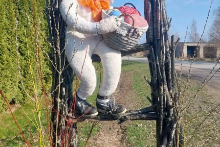 Ilguvos socialinės globos namai