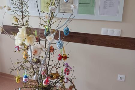 Seredžiaus senelių globos namai