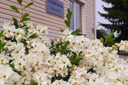 Slaugos namai „Eimanta“