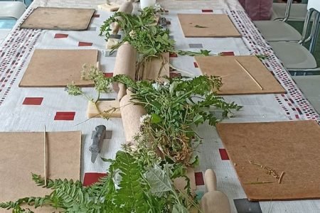 Zarasų rajono Antazavės socialinių paslaugų centras „Kartų namai“
