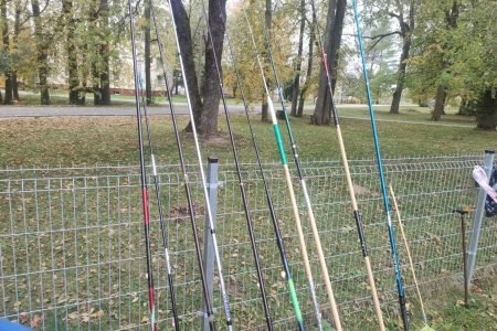 Jotainių socialinės globos namai