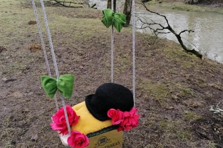 Viešoji įstaiga „Senjorų dvaras“