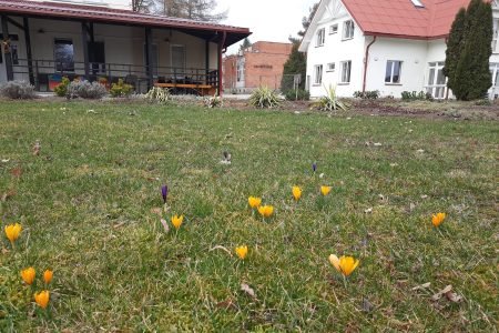 Jurbarko socialinių paslaugų Senyvo amžiaus asmenų globos namai
