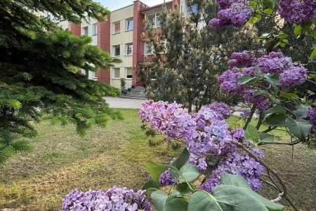 Utenos socialinių paslaugų centras