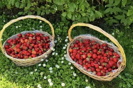 VšĮ Šiaulių paliatyvios pagalbos ir slaugos centras „Prasmė“
