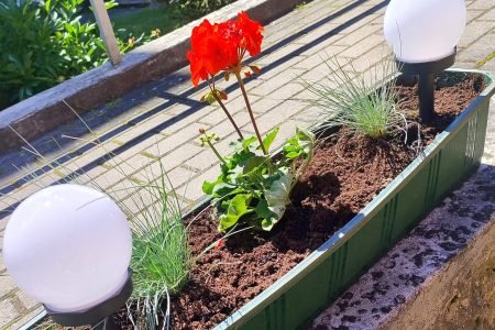Pagėgių socialinės globos namai