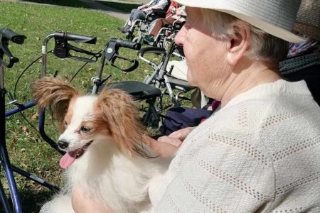 Algimanto Bandzos socialinių paslaugų namai
