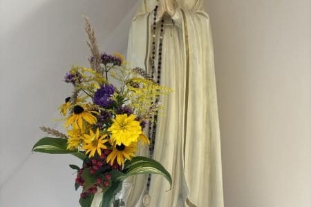 Rokiškio Šv. Apaštalo evangelisto Mato parapijos senelių globos namai