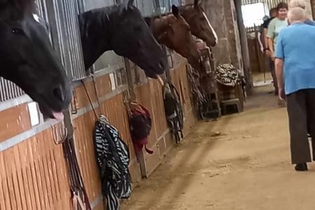 Lazdijų socialinių paslaugų centras