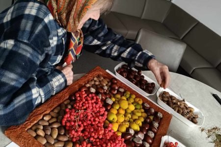 Zarasų rajono Antazavės socialinių paslaugų centras „Kartų namai“