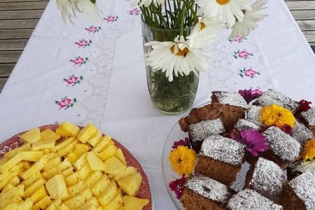 Ežerėlio slaugos namai