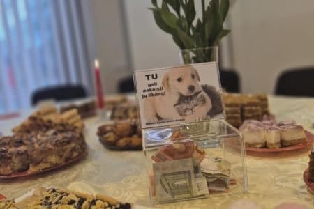 Viešoji įstaiga „Vilties erdvė“