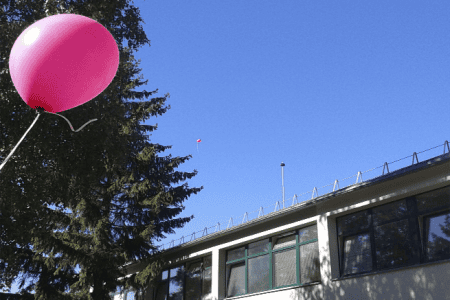Biudžetinė įstaiga „Vilniaus Lakštingalos namai“