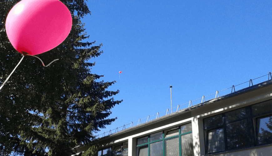 Vieta dviviečiame kambaryje biudžetinėje įstaigoje „Vilniaus Lakštingalos namai“