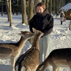 A woman in a black jacket and light jeans stands in a snowy forest, smiling while feeding three deer. Trees and another person are visible in the background.